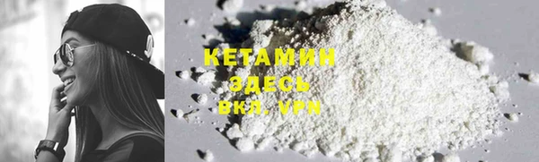 крисы Абаза