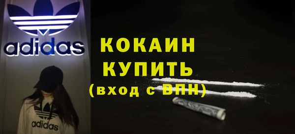 крисы Абаза