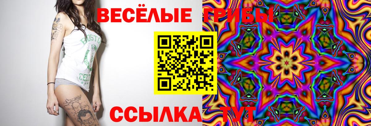 купить наркоту  Вход с VPN  Новоалександровск  Псилоцибиновые грибы Psilocybe  Галлюциногенные грибы мухоморы 